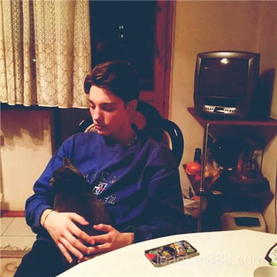 Financeiro Leão Bet